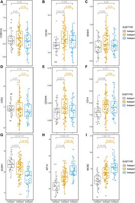 Molecular subtyping of esophageal squamous cell carcinoma by large-scale transcriptional profiling: Characterization, therapeutic targets, and prognostic value